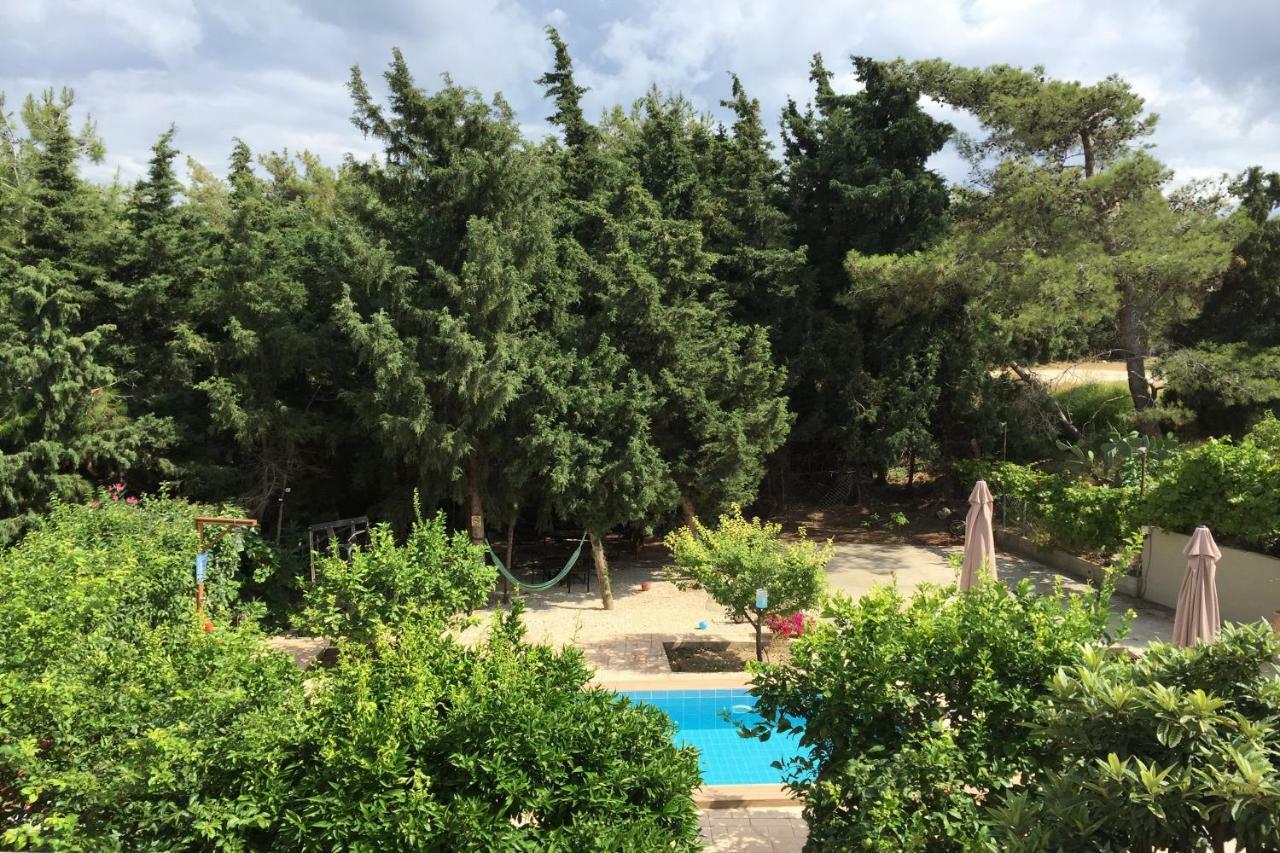 Sunny Rhodes Villa Koskinou  المظهر الخارجي الصورة